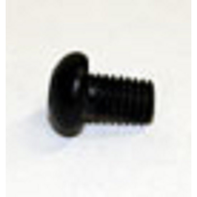 Horizon Fitness Stepper Step Hex Socket Screw M5x0.8Px8L 1000092936