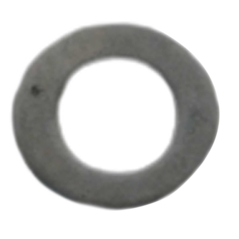 AFG Horizon Fitness 7.3AIC Elite IC7 Stationary Bike Washer 1000351012
