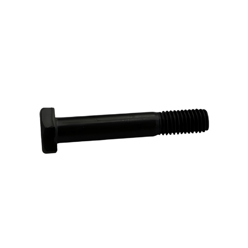 Weslo ProForm Strength System Round Head Hex Socket Screw M10 x 155mm 191144